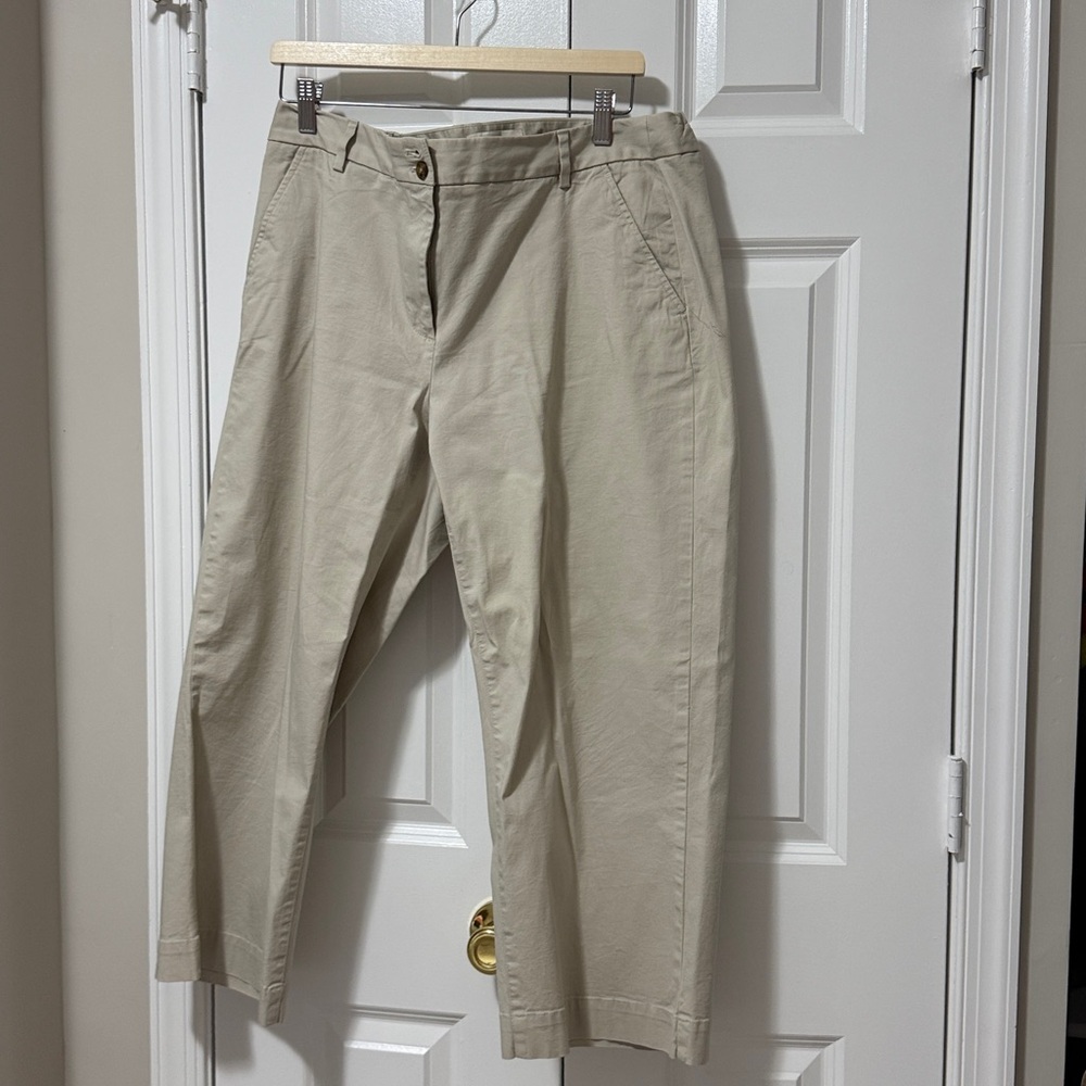 Chic Talbots Beige Trousers (Size 14W)